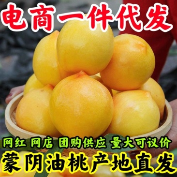 山东黄金油桃批发新鲜桃子当季水果直发应季脆甜黄肉蜜桃整箱