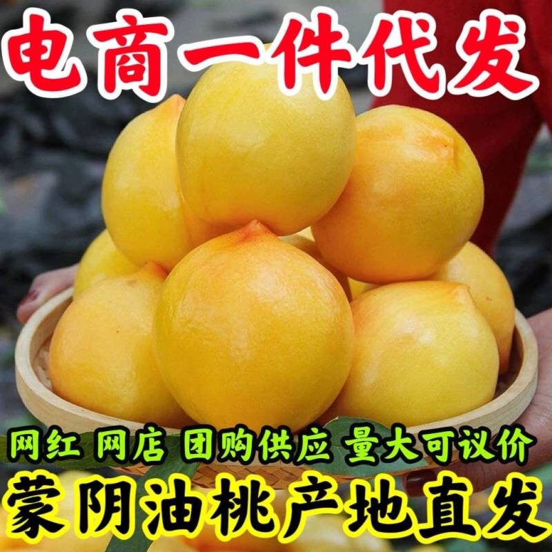 山东黄金油桃批发新鲜桃子当季水果直发应季脆甜黄肉蜜桃整箱