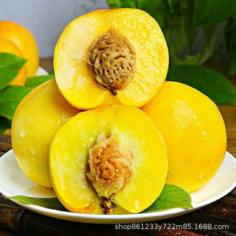 山东黄金油桃批发新鲜桃子当季水果直发应季脆甜黄肉蜜桃整箱