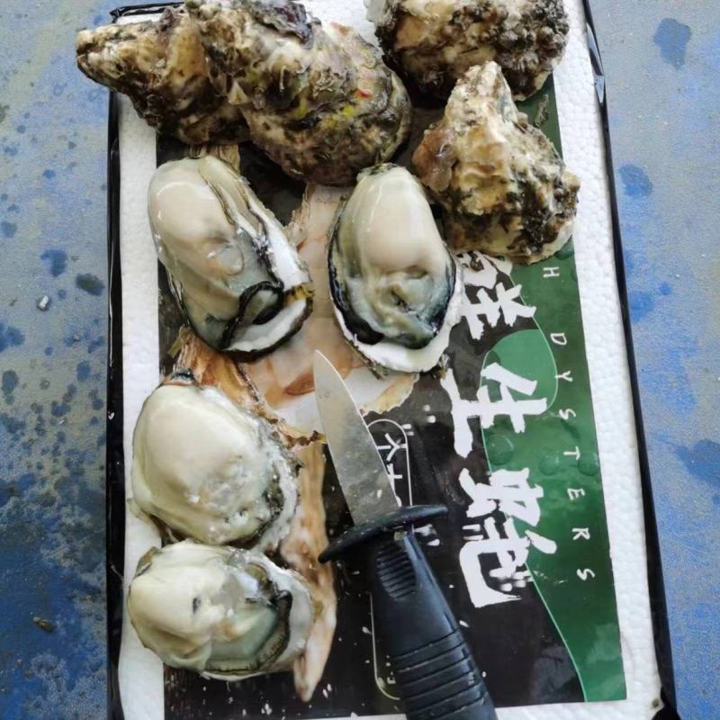 福建一口生蚝，网红小包装，承接电商社区团购