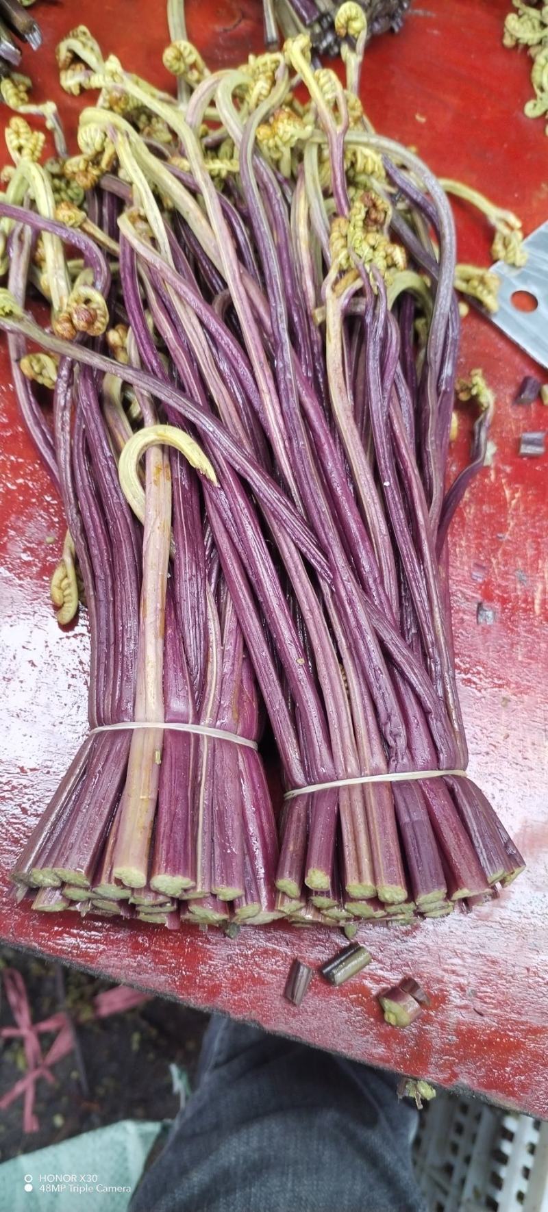撅菜