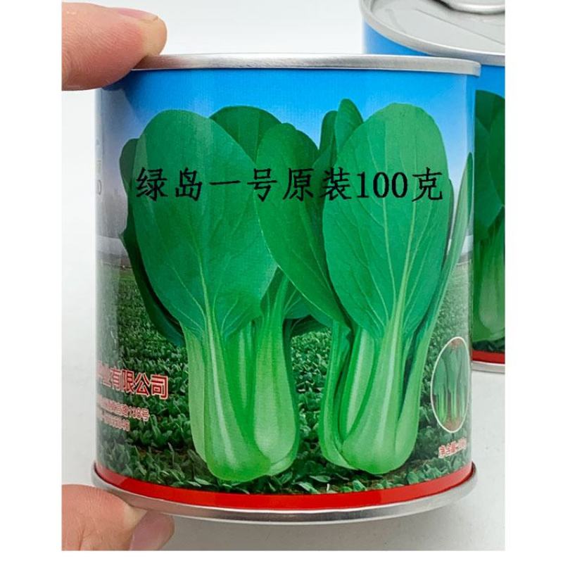 绿岛一号耐热青梗菜种子耐热不拔节油亮上海青种子100克