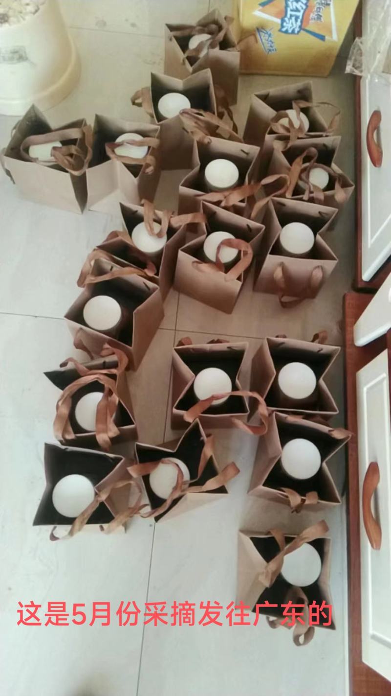 云南本土蜂蜜