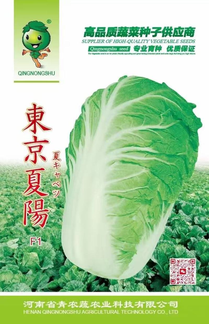50天夏季耐热夏阳白菜种子早熟抗病口感好进口品种