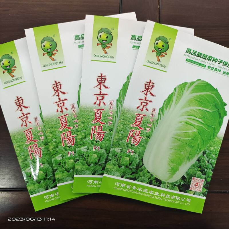 50天夏季耐热夏阳白菜种子早熟抗病口感好进口品种