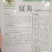 50天夏季耐热夏阳白菜种子早熟抗病口感好进口品种
