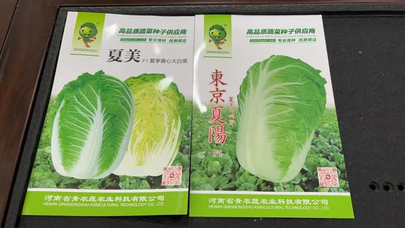 50天夏季耐热夏阳白菜种子早熟抗病口感好进口品种