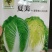 50天夏季耐热夏阳白菜种子早熟抗病口感好进口品种