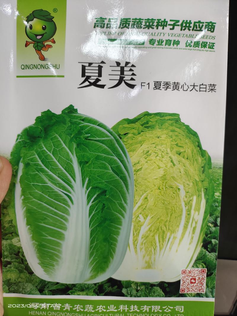 50天夏季耐热夏阳白菜种子早熟抗病口感好进口品种