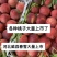 河北威县春雪桃，需要货源的老板联系