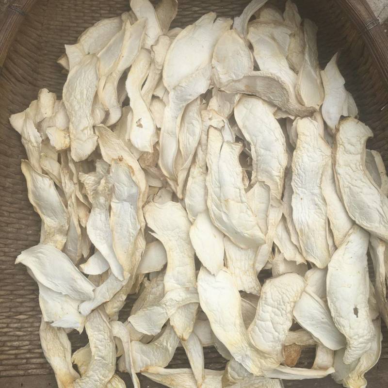 杏鲍菇大片中块小片产地批发园区一手货源量大价优