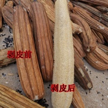 丝瓜络水瓜丝瓜瓢洗碗神器笨瓜菜丝瓜老丝瓜瓤