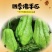 精品佛手瓜