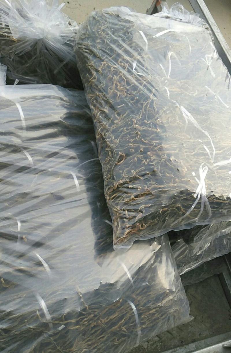 干豆角干豇豆黑芝麻叶萝卜缨干菜店商用批发