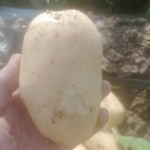 精品沃土