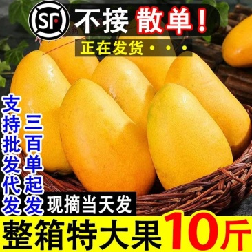 海南小台农芒果10斤新鲜现摘小台芒应当季热带水果特产整箱