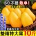 海南小台农芒果10斤新鲜现摘小台芒应当季热带水果特产整箱