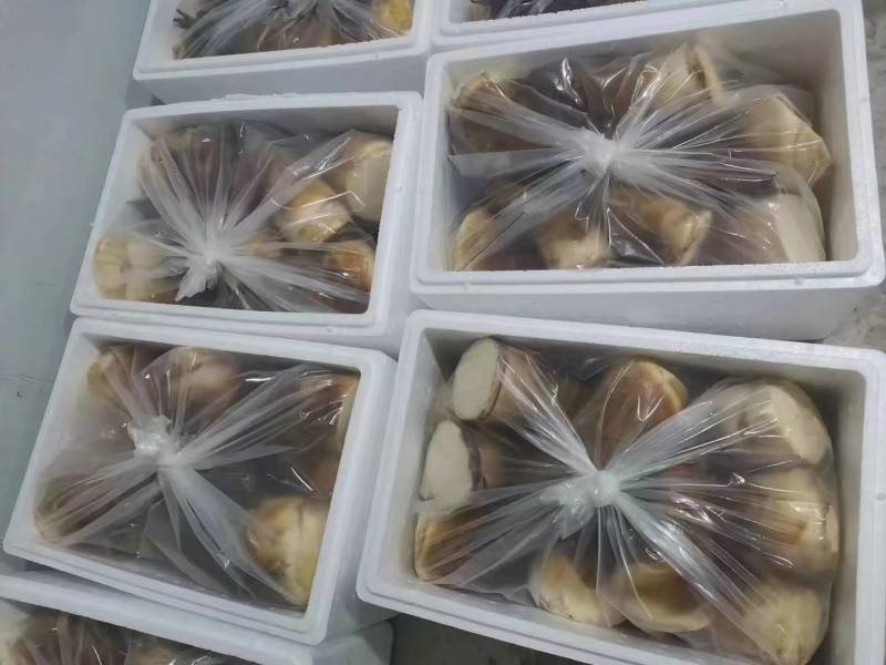 云南思茅甜笋支持一件代发价大货批发