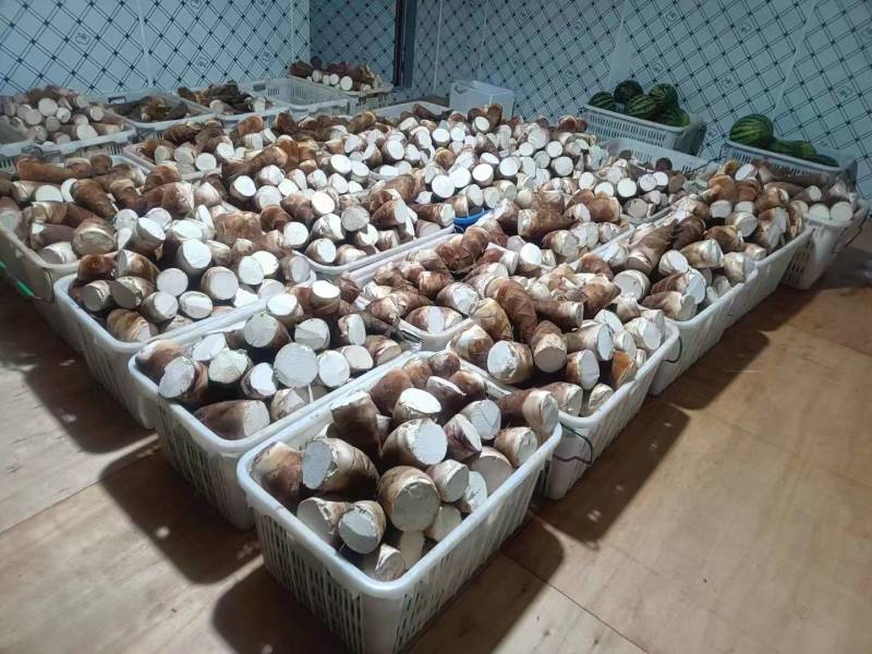 云南思茅甜笋支持一件代发价大货批发