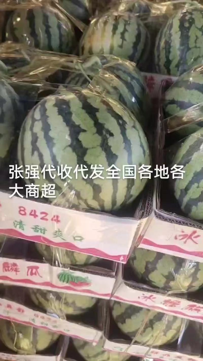 【推荐】精品麒麟西瓜大吨位供应商超市场欢迎来电