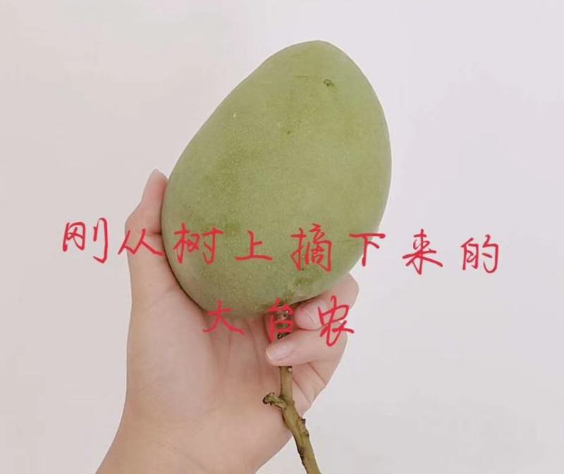 果园现摘现发