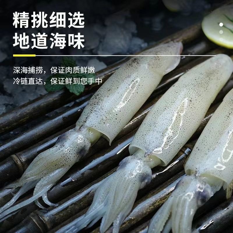 单冻生皮籽乌海鲜全籽籽乌海兔冷冻批发大笔管鱼原籽生鲜鱿鱼