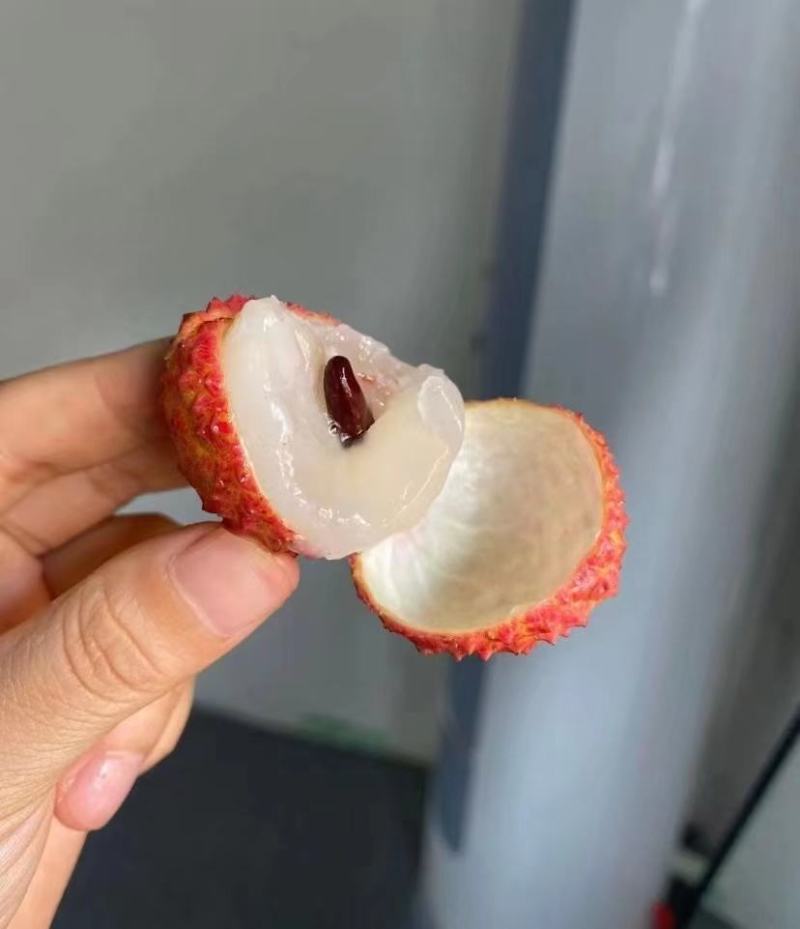 荔枝—桂味