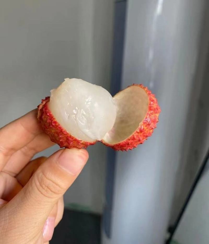 荔枝—桂味