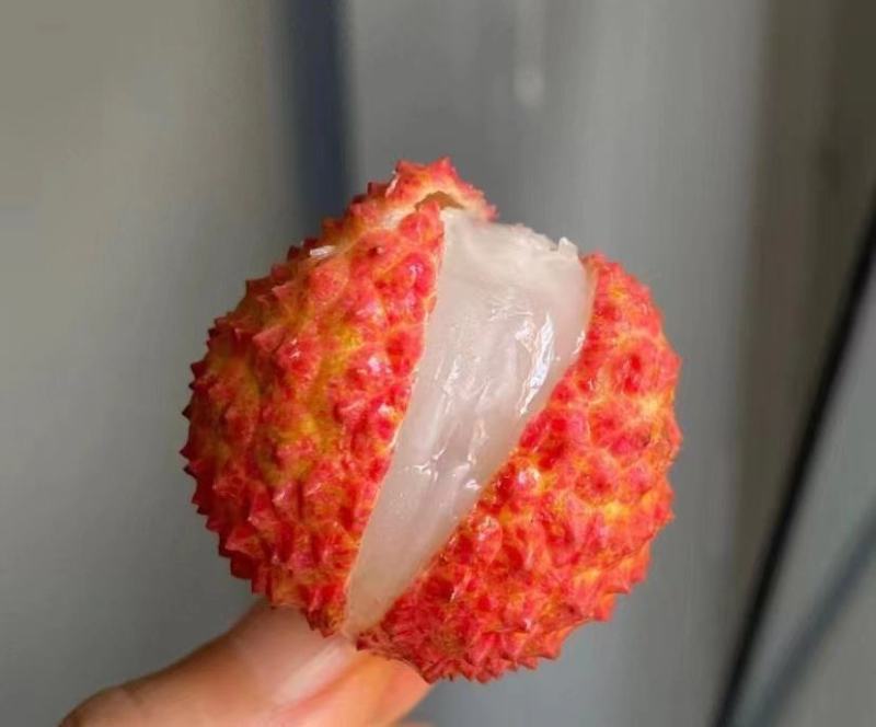 荔枝—桂味