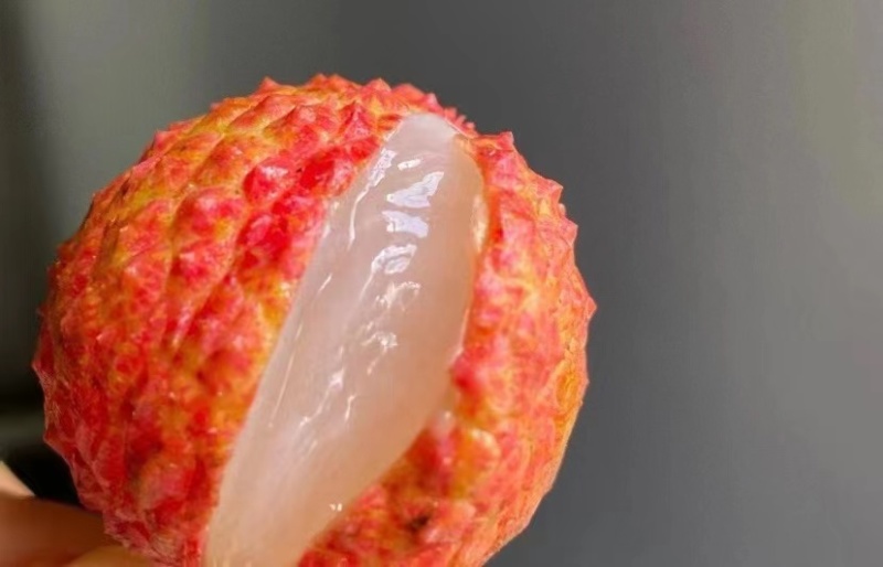 荔枝—桂味