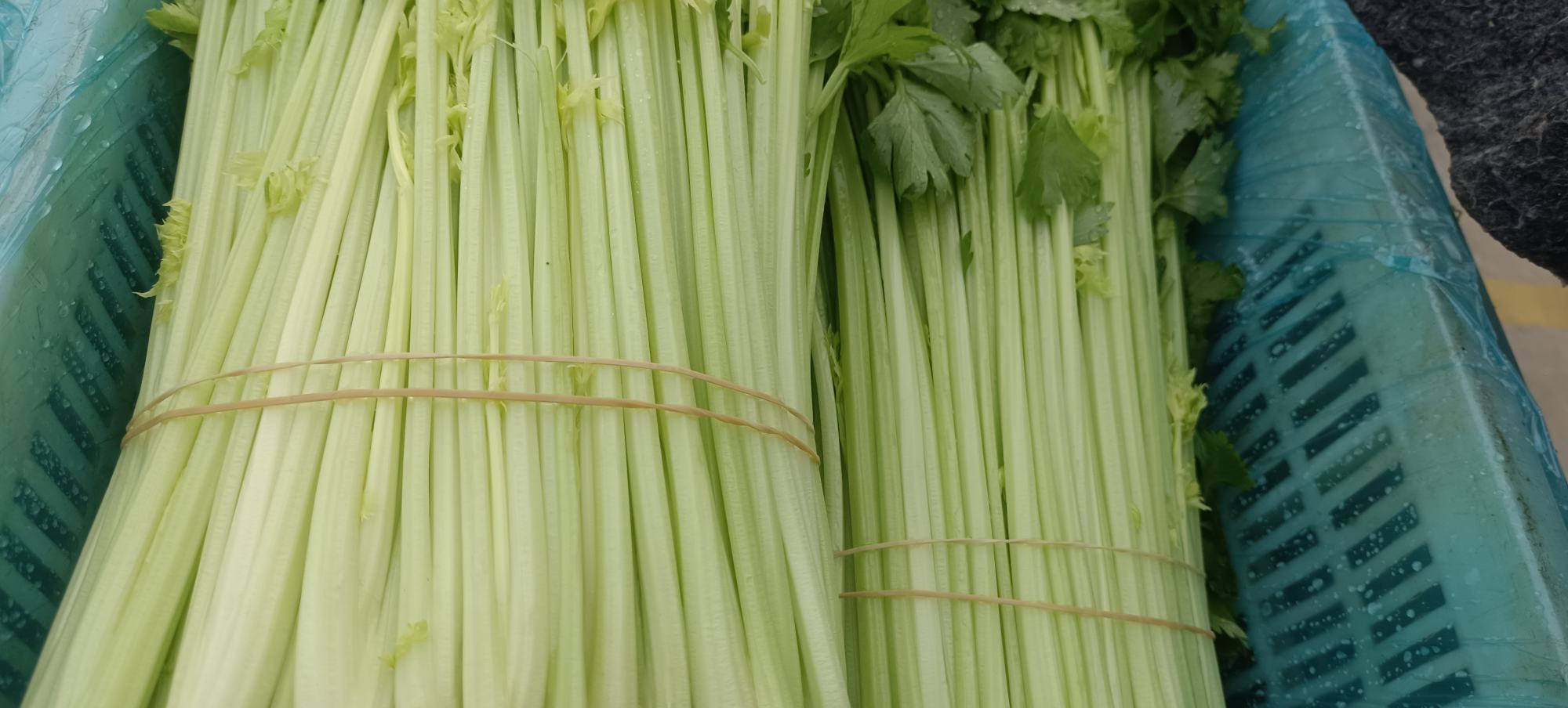 芹菜根与红枣的组合