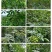 正露花椒大量供应品质保证价格实惠品质保证量大从优