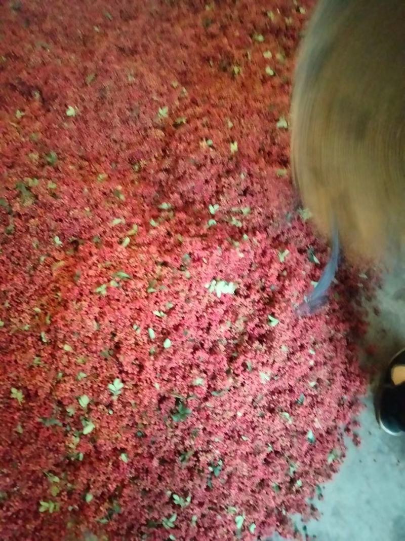 正露花椒大量供应品质保证价格实惠品质保证量大从优