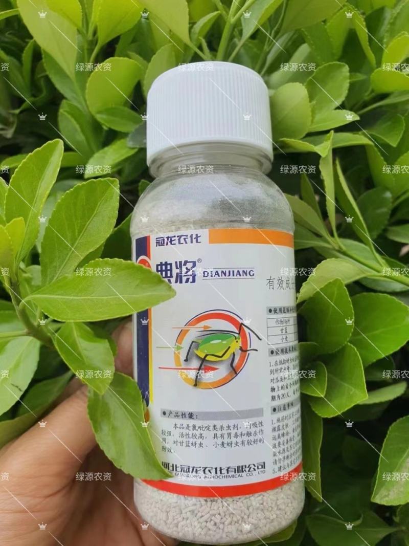 典将70%吡虫啉蚜虫药蚜虫杀虫剂小麦蚜虫甘蓝蚜虫