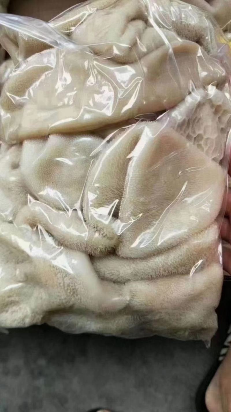 羊肚熟羊肚品质稳定，可卤炖切丝凉拌麻辣肚丝，等