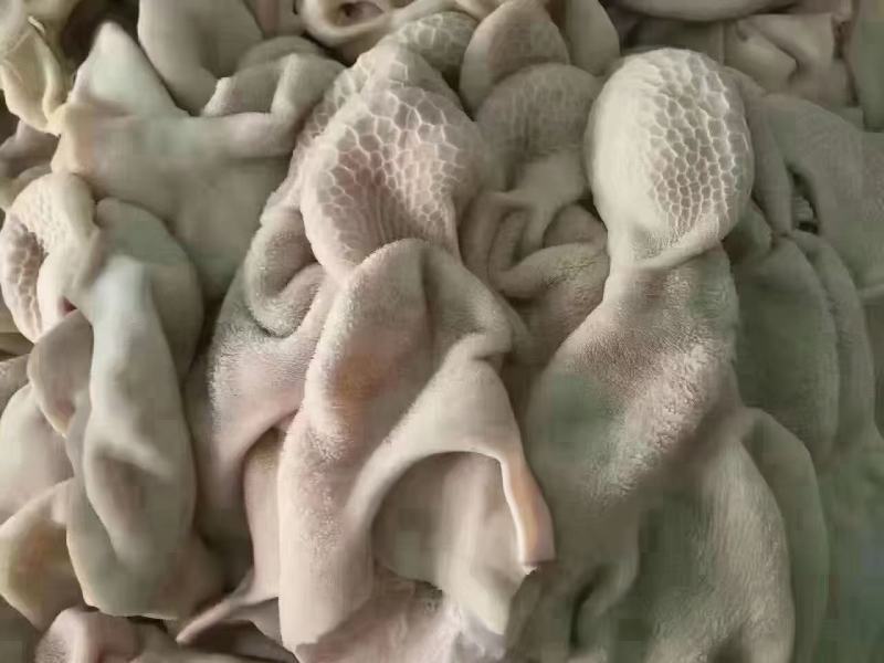 羊肚熟羊肚品质稳定，可卤炖切丝凉拌麻辣肚丝，等