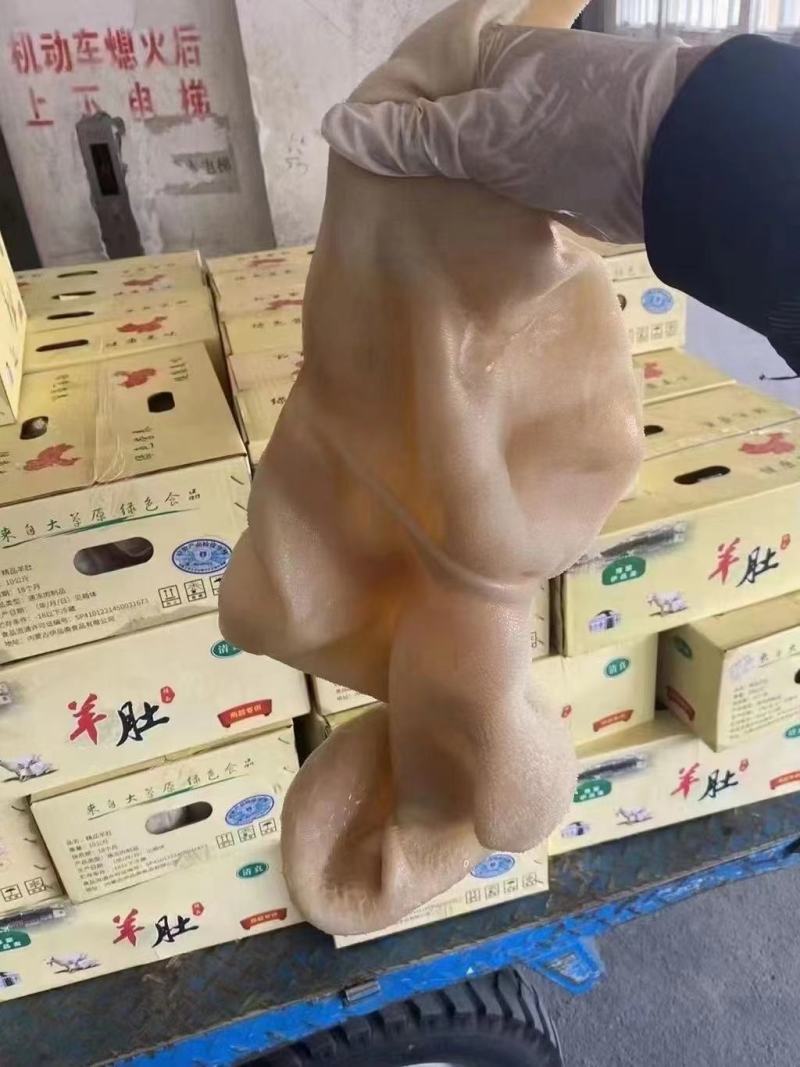 羊肚熟羊肚品质稳定，可卤炖切丝凉拌麻辣肚丝，等