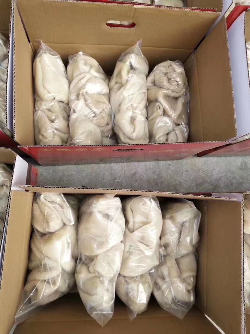 羊肚熟羊肚品质稳定，可卤炖切丝凉拌麻辣肚丝，等