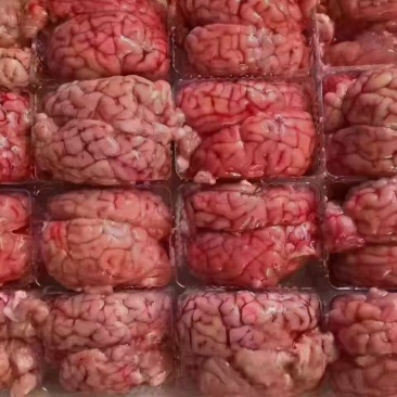 羊脑羊对脑，羊板脑，熬汤，烧烤都可以。品质稳定。。。。