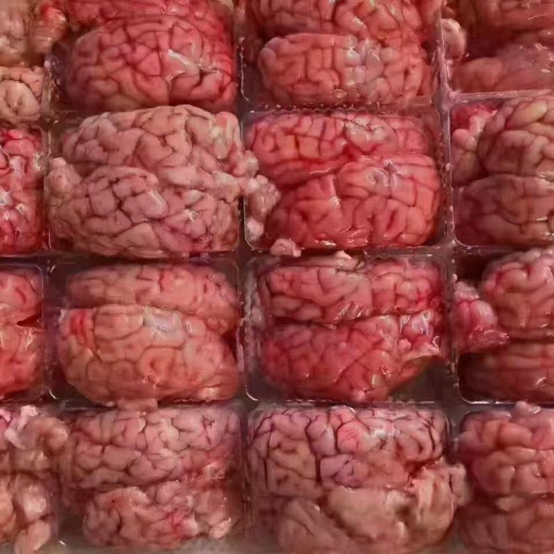 羊脑羊对脑，羊板脑，熬汤，烧烤都可以。品质稳定。。。。