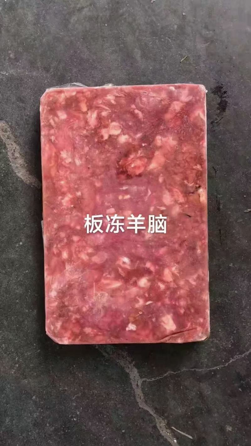 羊脑羊对脑，羊板脑，熬汤，烧烤都可以。品质稳定。。。。