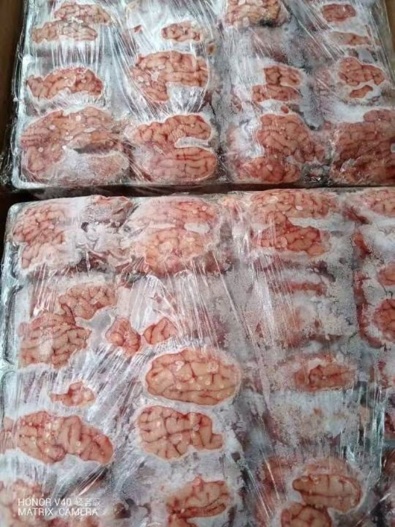 羊脑羊对脑，羊板脑，熬汤，烧烤都可以。品质稳定。。。。