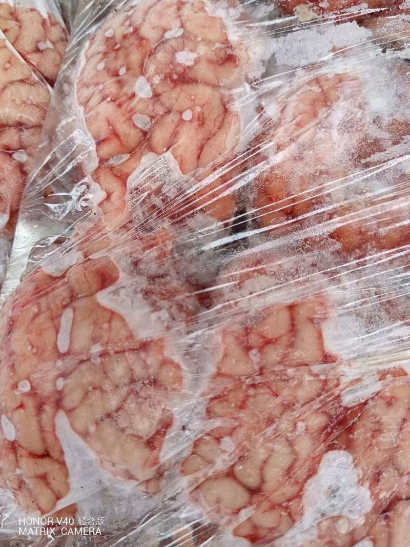 羊脑羊对脑，羊板脑，熬汤，烧烤都可以。品质稳定。。。。