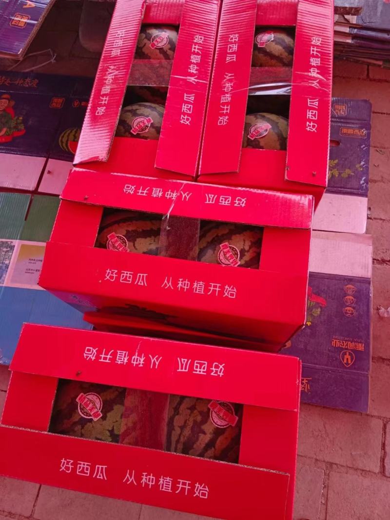 山西麒麟西瓜大量上市品质保证一手货源量大从优