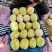 山西真甜甜瓜大量上市品质保证一手货源量大从优