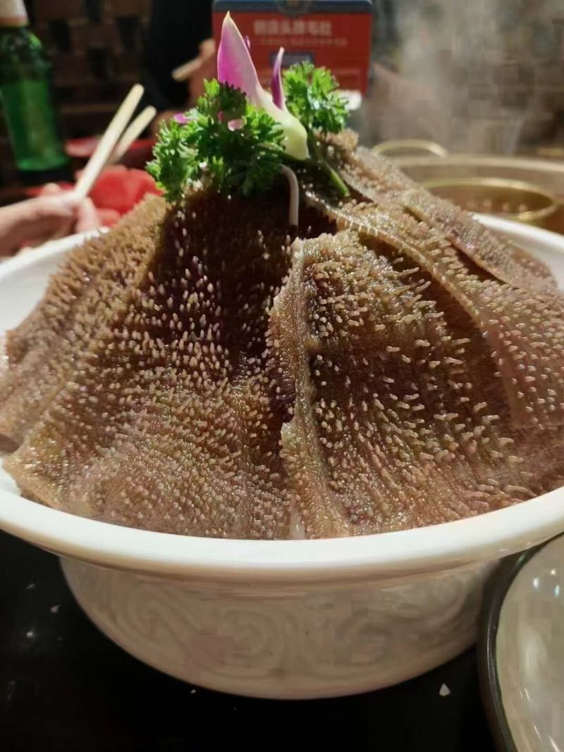 毛肚大叶片毛肚小叶片，碎毛肚，毛肚边角料，品类齐全！！