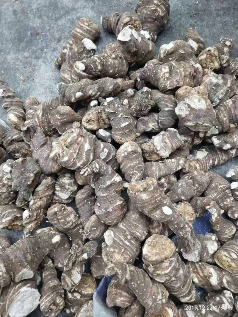 大量出售重楼干货质量保证价格合理