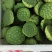 今年新出新鲜水果莲蓬大量供应发货进行中