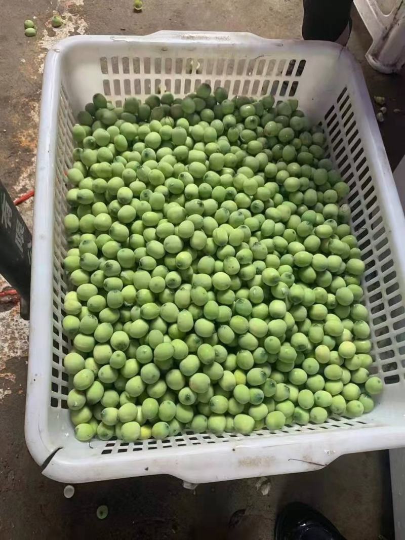 今年新出新鲜水果莲蓬大量供应发货进行中