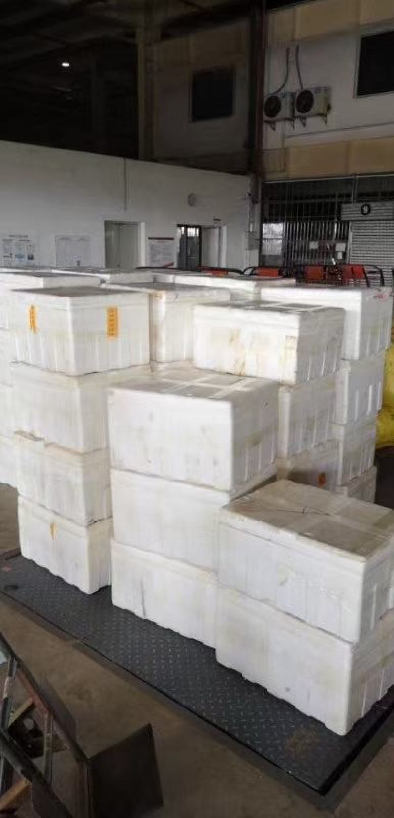 原产地直供新鲜水果莲蓬大量供应发货嫩莲蓬青莲蓬
